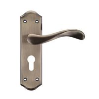 Door Handles on Backplate